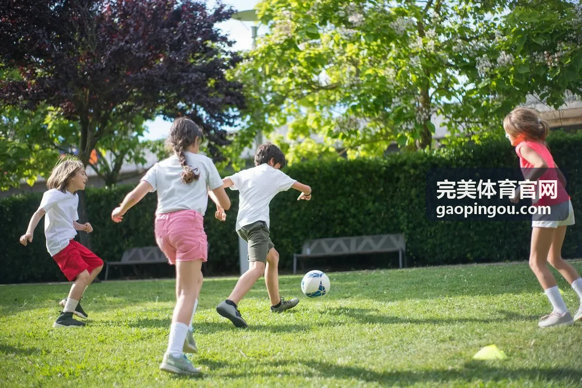 网球入门与提高 - 完美体育官网